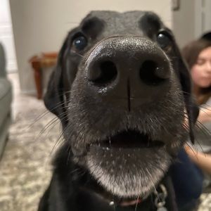 Meet your Posher, Jim